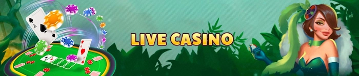 Live Casino